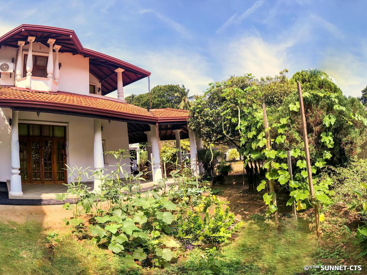 Ceylon Pearlwing Resort Негомбо Екстериор снимка